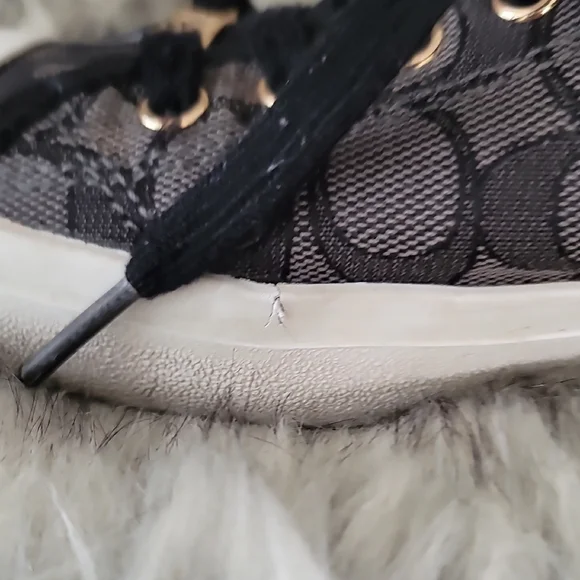 Coach Black and Gray Signature Sneakers - Picture 9 of 16